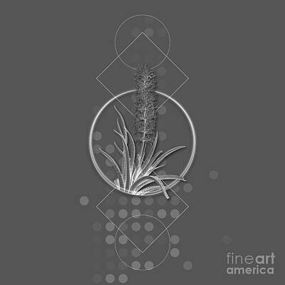 Reptiles Mixed Media - Ghostly Gray Snake Plant Botanical with Geometric Motif n.0117 by Holy Rock Design