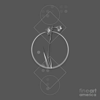 Lilies Mixed Media - Ghostly Gray Sword Lily Botanical with Geometric Motif n.0804 by Holy Rock Design