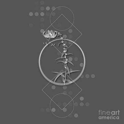 Lilies Mixed Media - Ghostly Gray Tiger Lily Botanical with Geometric Motif n.0709 by Holy Rock Design