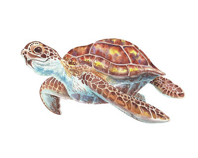 Reptiles Royalty-Free and Rights-Managed Images - Giant Sea Turtle Watercolor Painting  by Irina Sztukowski