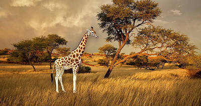 State Fact Posters Rights Managed Images - Giraffe Dream Royalty-Free Image by Marvin Blaine