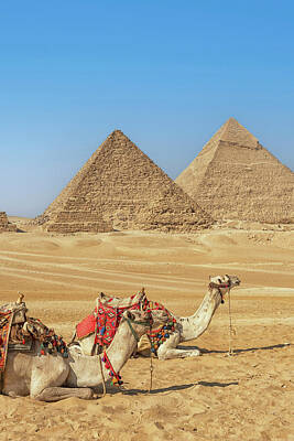 Royalty-Free and Rights-Managed Images - Giza by Manjik Pictures