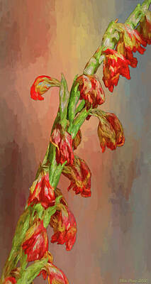 Bicycle Graphics - Gladiolas Flowers 780 by Mike Penney