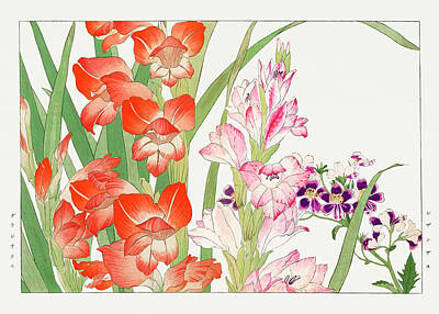 Florals Digital Art - Gladiolus and Schizanthus Flowers - Ukiyo e art - Vintage Japanese woodblock art - Seiyo SOKA ZUFU  by Studio Grafiikka