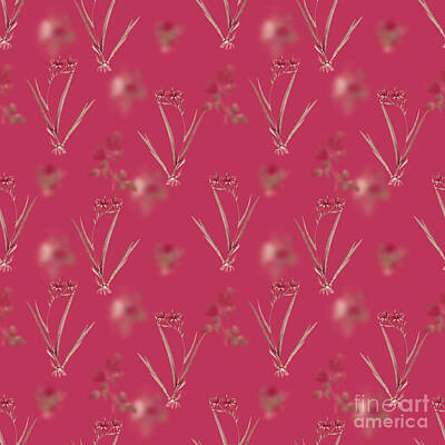 Food And Beverage Mixed Media Rights Managed Images - Gladiolus Cardinalis Botanical Seamless Pattern in Viva Magenta n.0780 Royalty-Free Image by Holy Rock Design