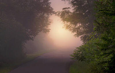 Discover Inventions - Glowing Morning Fog in Upstate NY by Chester Wiker