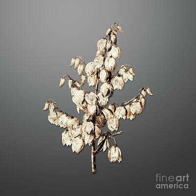 Food And Beverage Paintings - Gold Aloe Yucca on Soft Gray n.02818 by Holy Rock Design