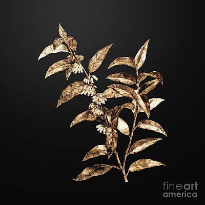 Floral Paintings - Gold Andromeda Acuminata Bloom on Wrought Iron Black n.03973 by Holy Rock Design