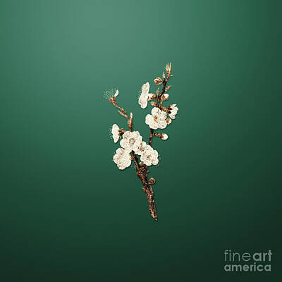 Roses Paintings - Gold Apricot Flower on Dark Spring Green n.00365 by Holy Rock Design