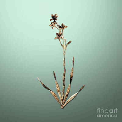 Lilies Paintings - Gold Bugle Lily on Mint Green n.01476 by Holy Rock Design
