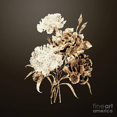 Florals Royalty-Free and Rights-Managed Images - Gold Carnation on Chocolate Brown n.03377 by Holy Rock Design