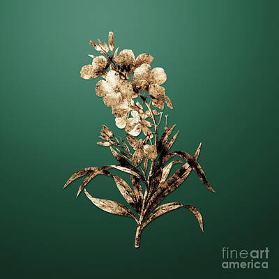 Roses Paintings - Gold Cheiranthus Flower on Dark Spring Green n.02592 by Holy Rock Design