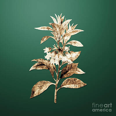 Negative Space Rights Managed Images - Gold Chinese New Year Flower on Dark Spring Green n.02634 Royalty-Free Image by Holy Rock Design