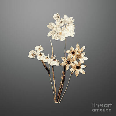 Lilies Paintings - Gold Corn Lily on Soft Gray n.01908 by Holy Rock Design
