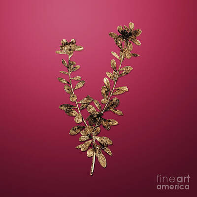 A Tribe Called Beach - Gold Daphne Sericea Flowers on Viva Magenta n.03081 by Holy Rock Design