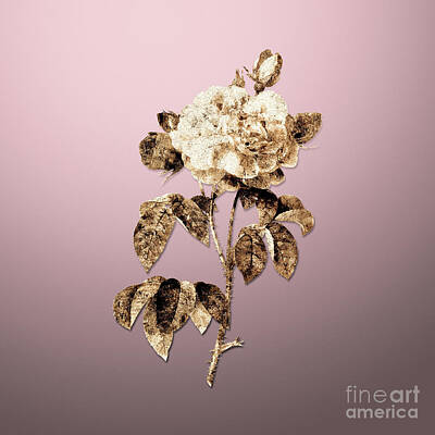Roses Paintings - Gold Duchess of Orleans Rose on Rose Quartz n.04420 by Holy Rock Design