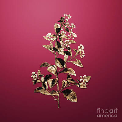 Royalty-Free and Rights-Managed Images - Gold Eastern Baccharis on Viva Magenta n.03109 by Holy Rock Design