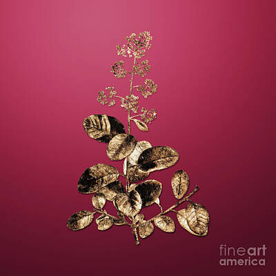 Royalty-Free and Rights-Managed Images - Gold European Smoketree on Viva Magenta n.03249 by Holy Rock Design