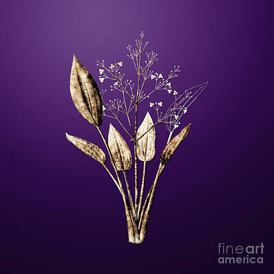 Gaugin - Gold European Water Plantain on Royal Purple n.00067 by Holy Rock Design