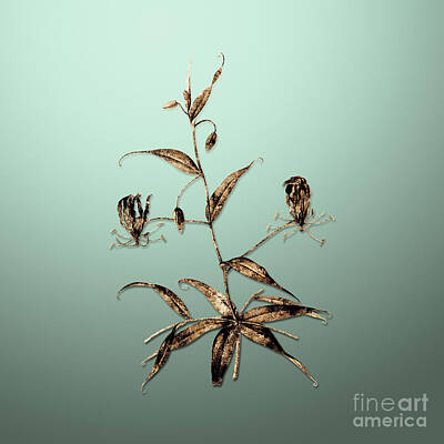 Lilies Royalty-Free and Rights-Managed Images - Gold Flame Lily on Mint Green n.02232 by Holy Rock Design