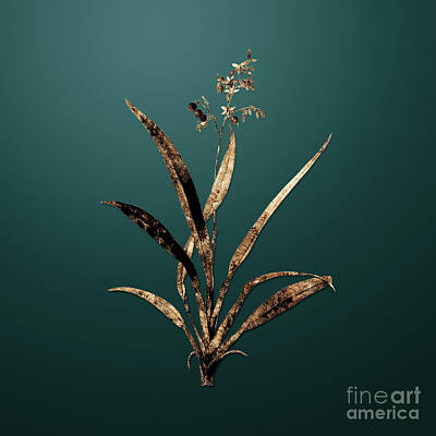 Lilies Paintings - Gold Flax Lilies on Dark Teal n.01395 by Holy Rock Design