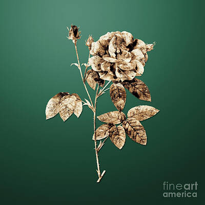 Roses Paintings - Gold French Rose on Dark Spring Green n.04230 by Holy Rock Design