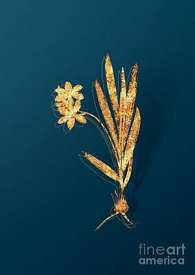 Stone Cold Rights Managed Images - Gold Gladiolus Plicatus Botanical Illustration on Teal Royalty-Free Image by Holy Rock Design