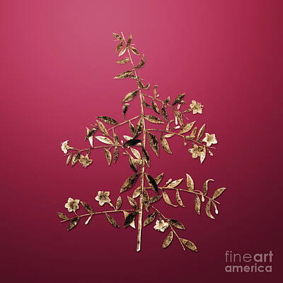 Royalty-Free and Rights-Managed Images - Gold Goji Berry Branch on Viva Magenta n.03445 by Holy Rock Design