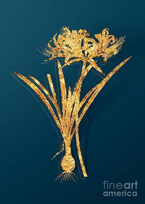 Lilies Mixed Media - Gold Golden Hurricane Lily Botanical Illustration on Teal by Holy Rock Design