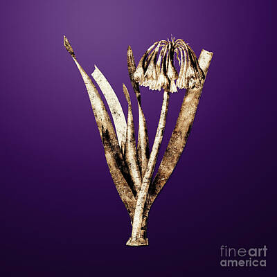 Lilies Paintings - Gold Knysna Lily on Royal Purple n.01146 by Holy Rock Design