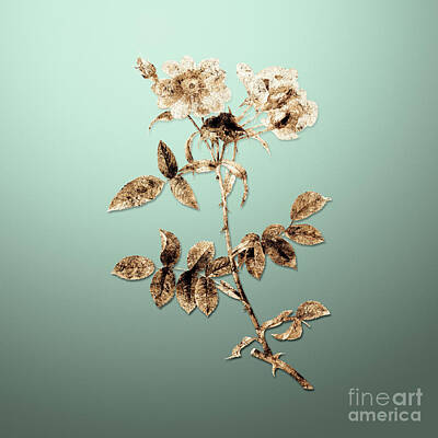 Food And Beverage Paintings - Gold Lady Monson Rose Bloom on Mint Green n.03338 by Holy Rock Design