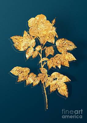 Staff Picks Cortney Herron - Gold Leschenaults Rose Botanical Illustration on Teal by Holy Rock Design