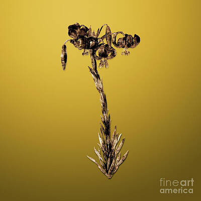 Lilies Paintings - Gold Lily on Mango Yellow n.02281 by Holy Rock Design