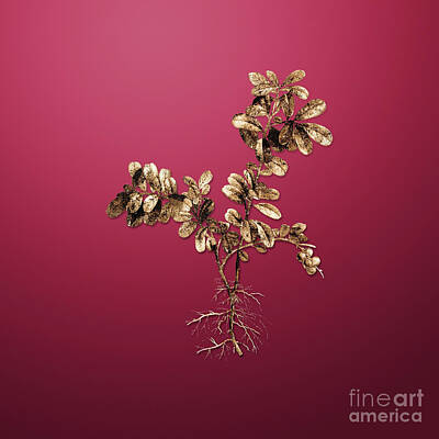 Royalty-Free and Rights-Managed Images - Gold Lingonberry on Viva Magenta n.03837 by Holy Rock Design
