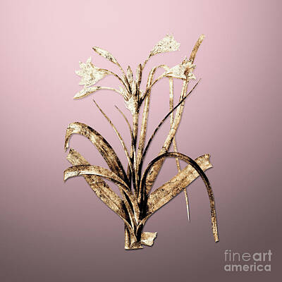Lilies Royalty-Free and Rights-Managed Images - Gold Malgas Lily on Rose Quartz n.01998 by Holy Rock Design