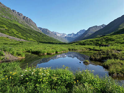 Target Threshold Nature - Gold Mint Valley - Palmer, Alaska by Stephen VanGorkum