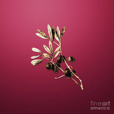 Royalty-Free and Rights-Managed Images - Gold Olive Tree Branch on Viva Magenta n.04075 by Holy Rock Design