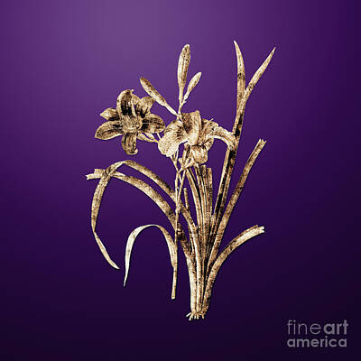 Lilies Paintings - Gold Orange Day Lily on Royal Purple n.01762 by Holy Rock Design