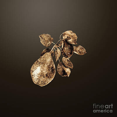 Abstract Flowers Royalty-Free and Rights-Managed Images - Gold Pear Branch on Chocolate Brown n.02705 by Holy Rock Design