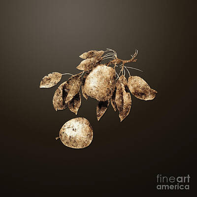 Spanish Adobe Style - Gold Pear on Chocolate Brown n.02537 by Holy Rock Design