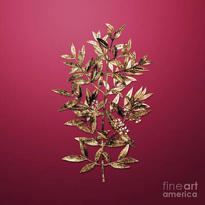 Royalty-Free and Rights-Managed Images - Gold Phillyrea Tree Branch on Viva Magenta n.04243 by Holy Rock Design