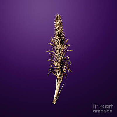 Food And Beverage Paintings - Gold Pitcairnia Latifolia on Royal Purple n.02378 by Holy Rock Design