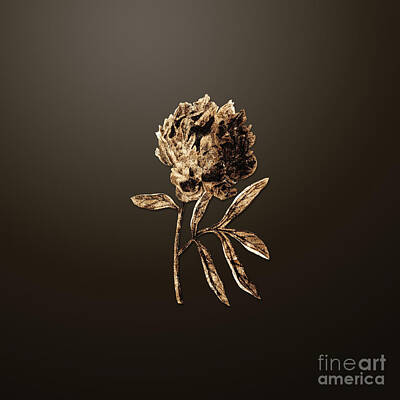 Animal Paintings James Johnson Royalty Free Images - Gold Potts Chinese Peony on Chocolate Brown n.00338 Royalty-Free Image by Holy Rock Design