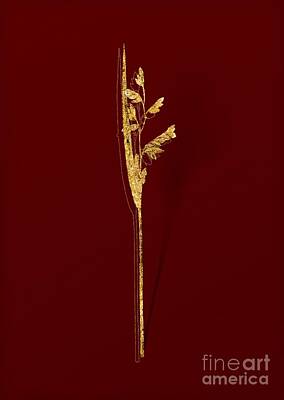 Reptiles Mixed Media - Gold Powdery Alligator Flag Botanical Illustration on Red by Holy Rock Design