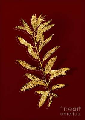 Mother And Child Animals - Gold Rhodora Botanical Illustration on Red by Holy Rock Design