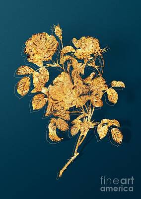 Roses Mixed Media - Gold Rose of Love Bloom Botanical Illustration on Teal by Holy Rock Design