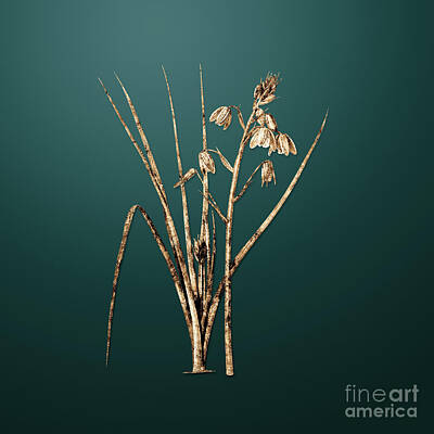 Lilies Paintings - Gold Slime Lily on Dark Teal n.04223 by Holy Rock Design