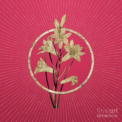 Lilies Mixed Media - Gold St. Brunos Lily Glitter Botanical Art on Viva Magenta n.0735 by Holy Rock Design