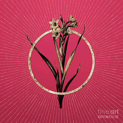 Lilies Mixed Media - Gold Sword Lily Glitter Botanical Art on Viva Magenta n.0763 by Holy Rock Design