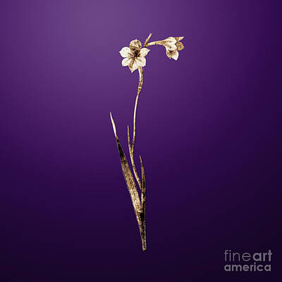 Lilies Paintings - Gold Sword Lily on Royal Purple n.03386 by Holy Rock Design
